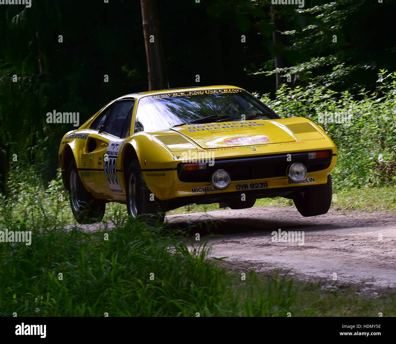 Tony Worswick, Ferrari 308 GTB, Foresta Rally, Goodwood Festival di velocità, 2016. automobiles, automobili, intrattenimento, Festival della velocità, Foresta rall Foto Stock