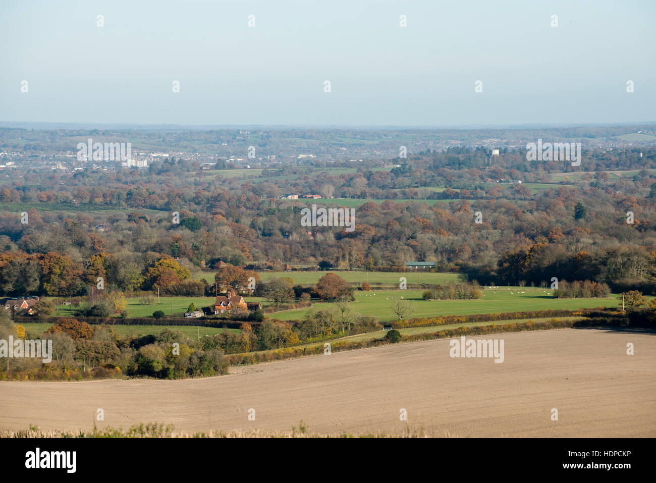 Una vista di campi e boschi nel tardo autunno con alcuni alberi colorati dal Berkshire Downs verso Newbury Foto Stock