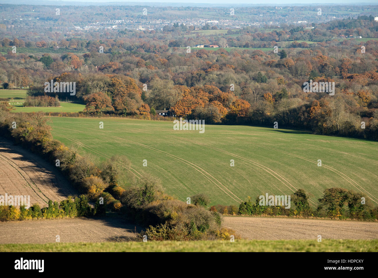 Una vista di campi e boschi nel tardo autunno con alcuni alberi colorati dal Berkshire Downs verso Newbury Foto Stock