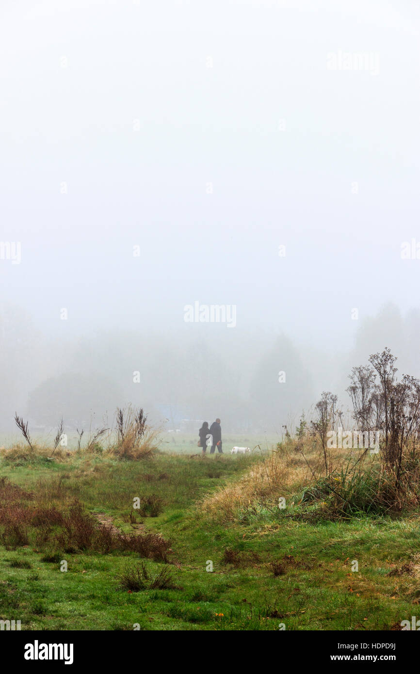 Due figure distanti e un cane di camminare su un prato e avvolto nella nebbia Foto Stock