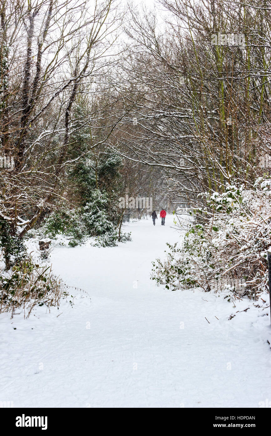 Neve sul Parco a piedi, una riserva naturale costituito da una in disuso la linea ferroviaria, a nord di Londra, Regno Unito Foto Stock