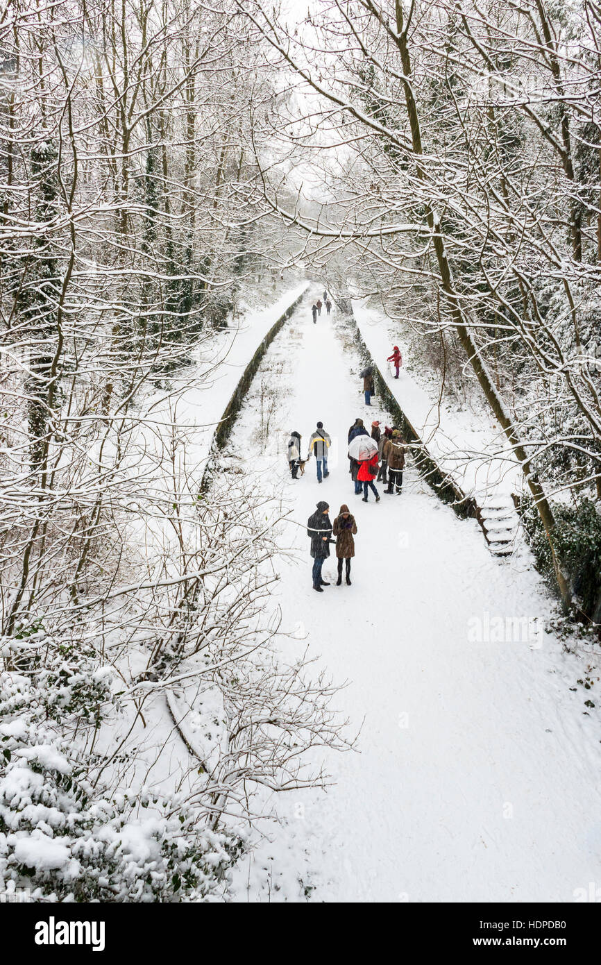 Neve sul Parco a piedi, una riserva naturale costituito da una in disuso la linea ferroviaria, a nord di Londra, Regno Unito Foto Stock