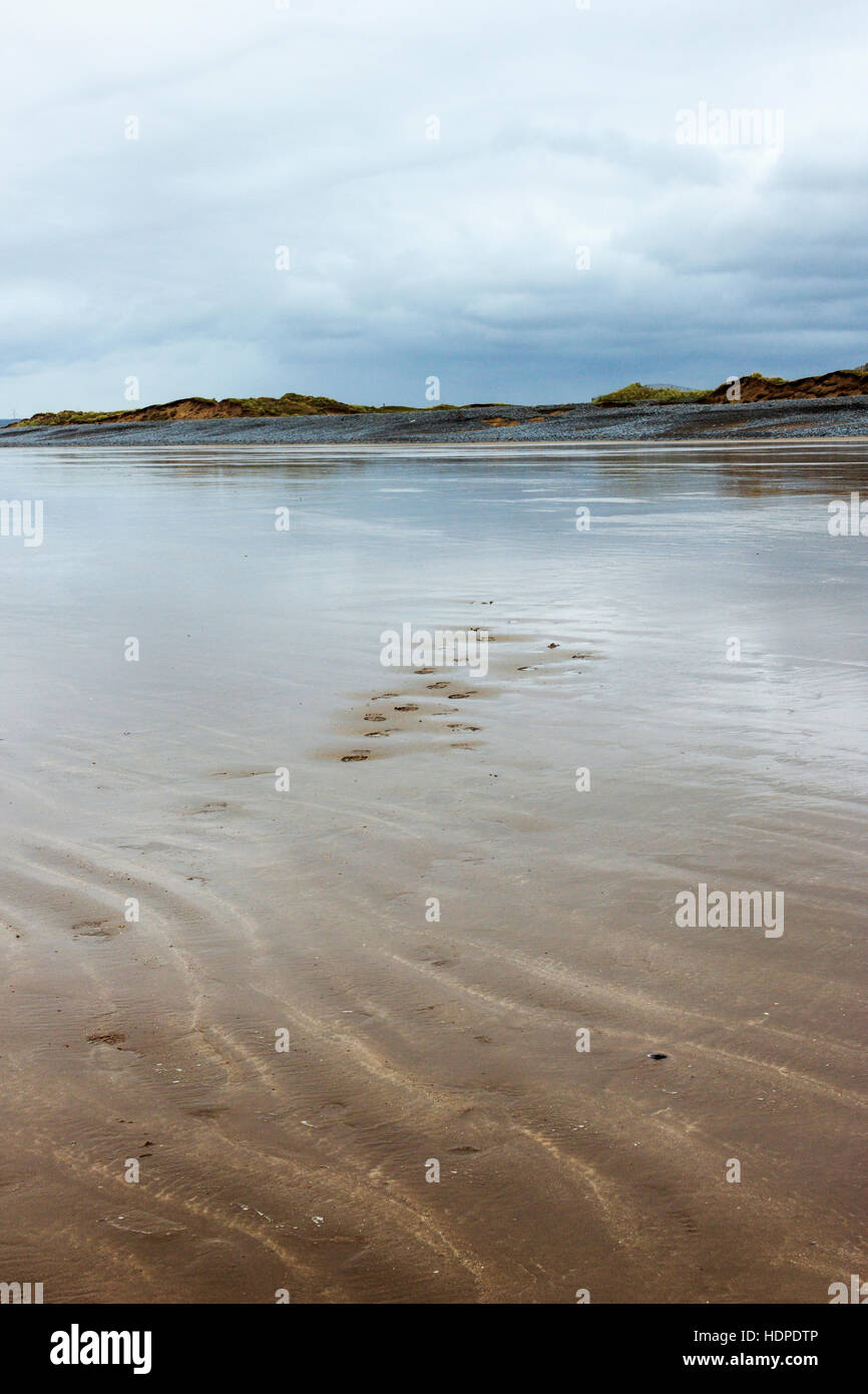 Orme di sabbia su un desolato e ventoso spiaggia sabbiosa, Condino, Devon, Inghilterra, Regno Unito Foto Stock