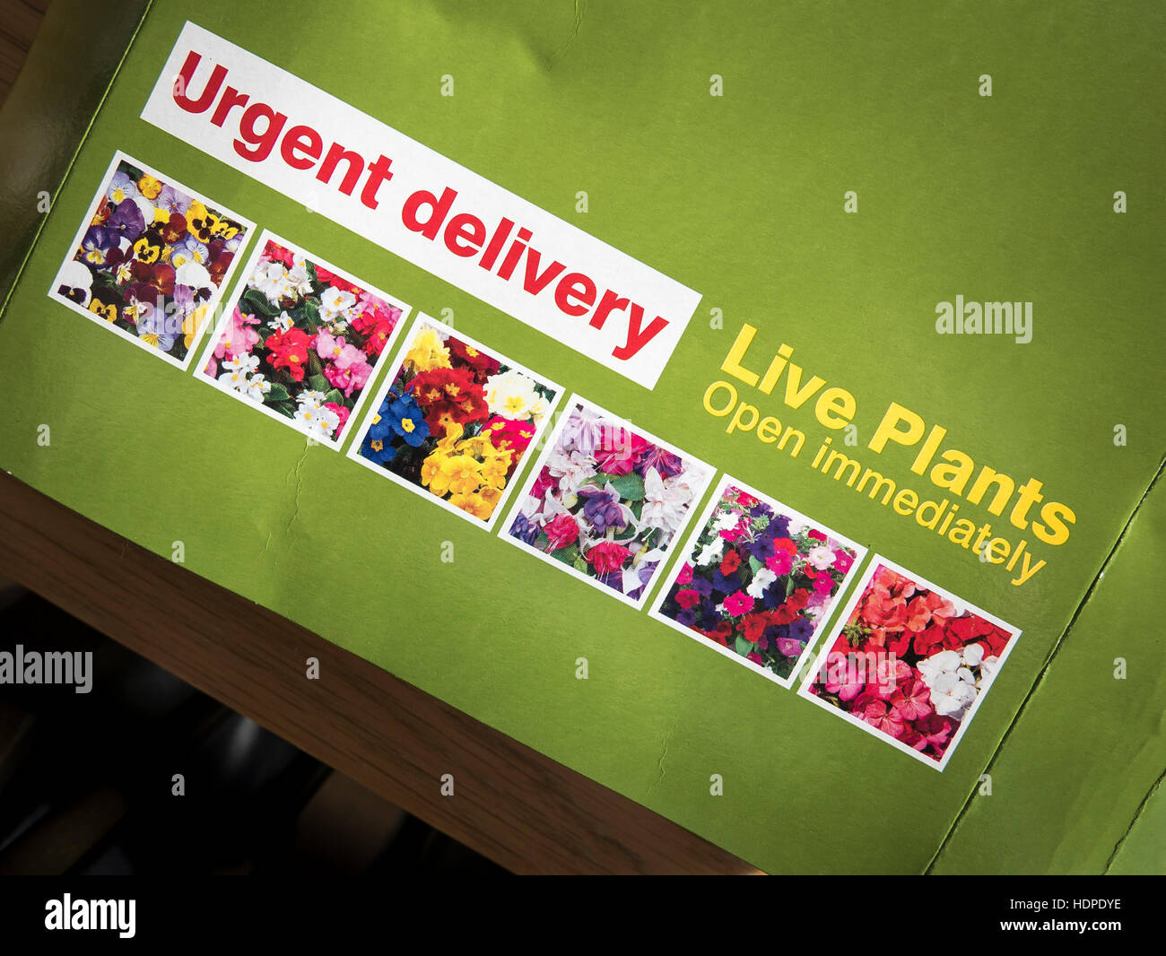 Confezione contenente le piante vive e i prodotti della floricoltura acquistate tramite ordine di posta Foto Stock