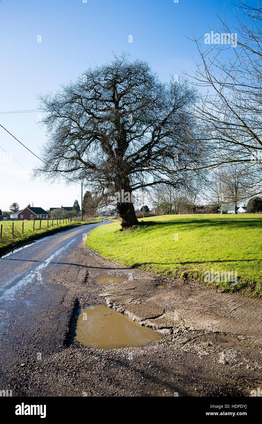 Pentola grande-buco riempito con acqua in una stretta corsia Wiltshire Foto Stock