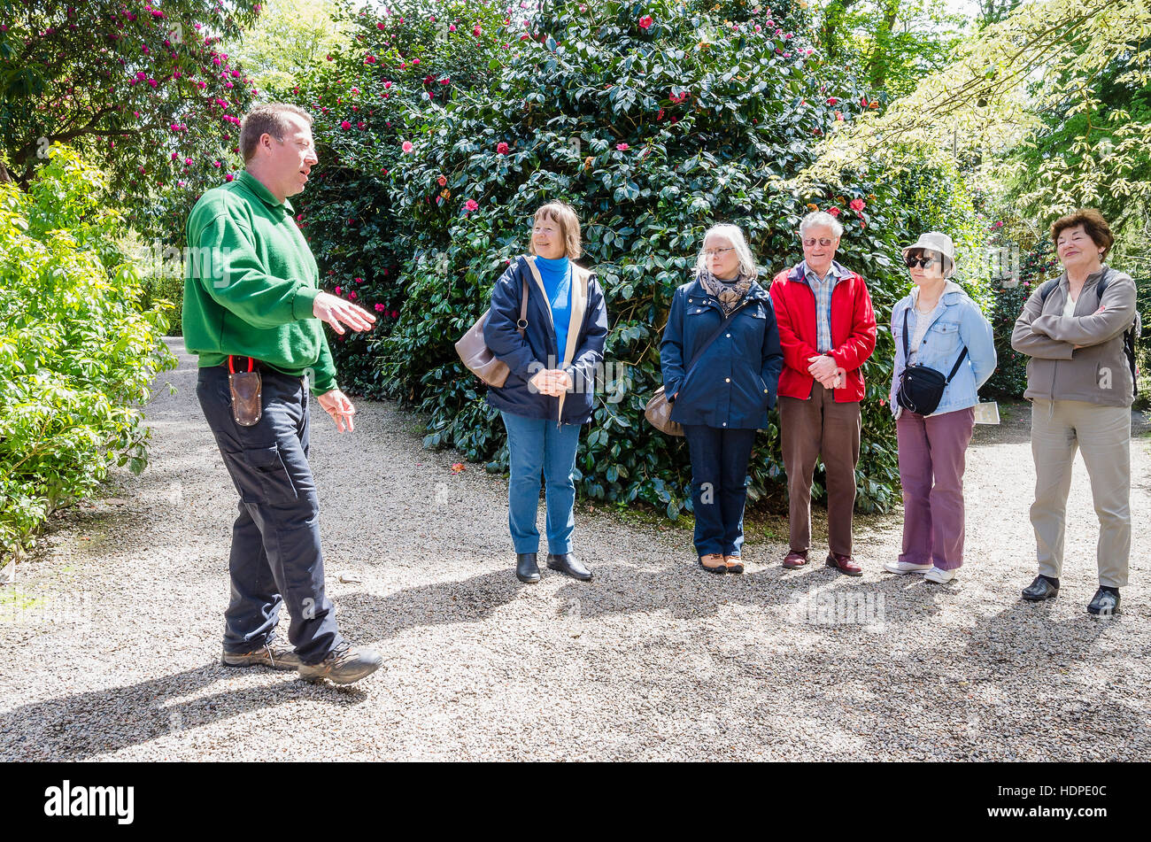 Testa-gardenere Gary briefing lungo un gruppo di visitatori Trewithen gardens in Cornovaglia Foto Stock
