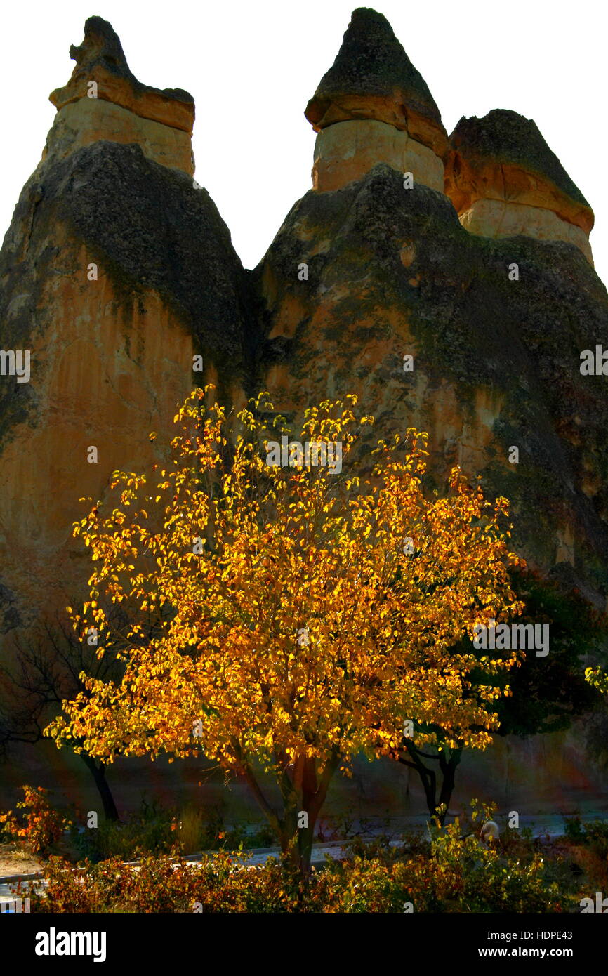 Retroilluminato con foglie di autunno e Camini di Fata in silhouette in Cappadocia, Turchia Foto Stock