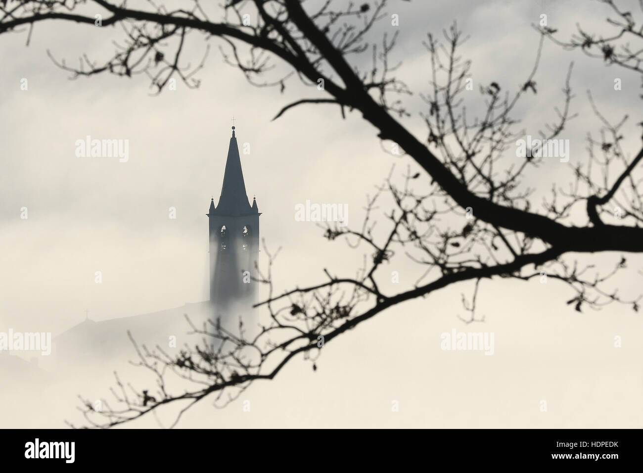 Vista ispiratrice del campanile che spuntavano di nebbia invernale con i rami degli alberi in primo piano Foto Stock
