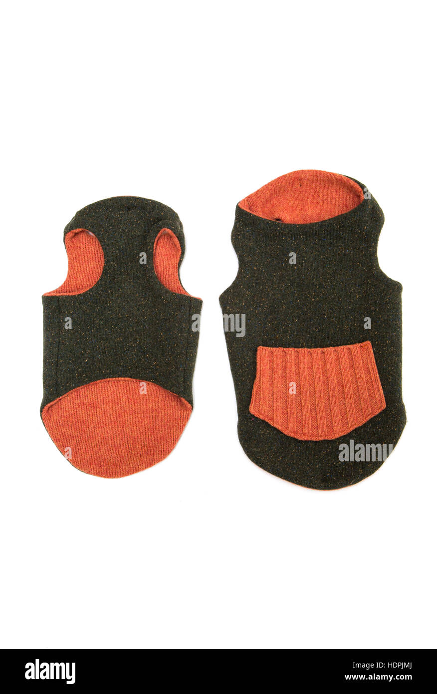 Singolo cane maglione isolare su bianco Foto Stock