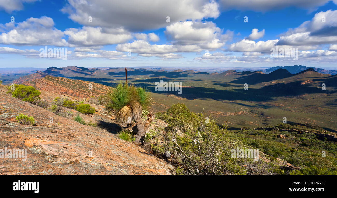 Paesaggio panorama outback Flinders Ranges Australia del Sud paesaggi australiani la vista di Wilpena Pound da St Mary Peak Foto Stock