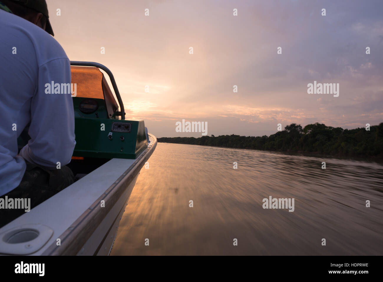 Un pilota di barca in Nord Pantanal, cercando giaguari e altri animali lungo le rive del fiume. Foto Stock