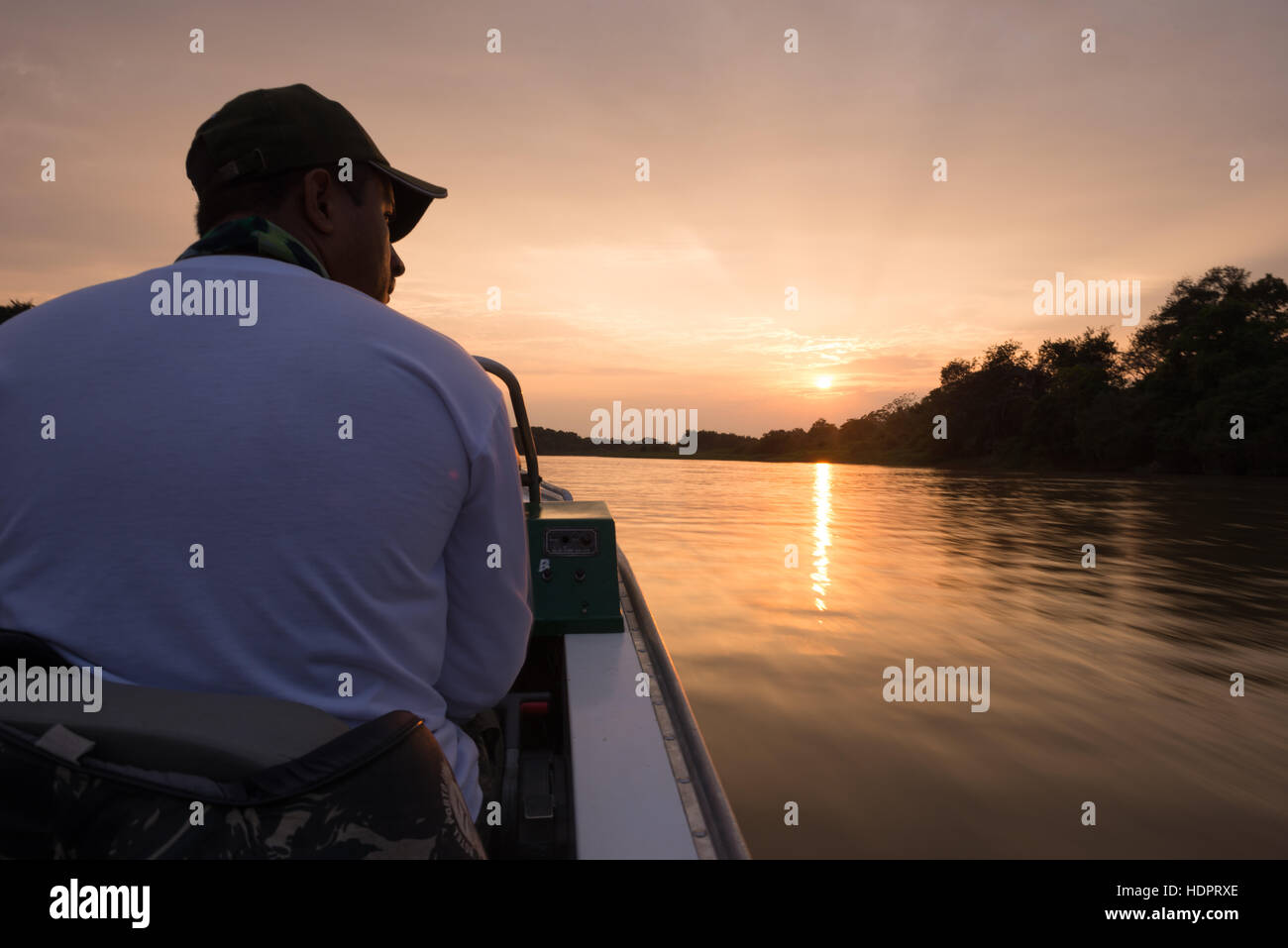 Un pilota di barca in Nord Pantanal, cercando giaguari e altri animali lungo le rive del fiume. Foto Stock