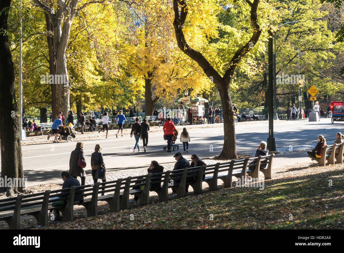Per coloro che godono di Central Park in autunno, NYC, STATI UNITI D'AMERICA Foto Stock