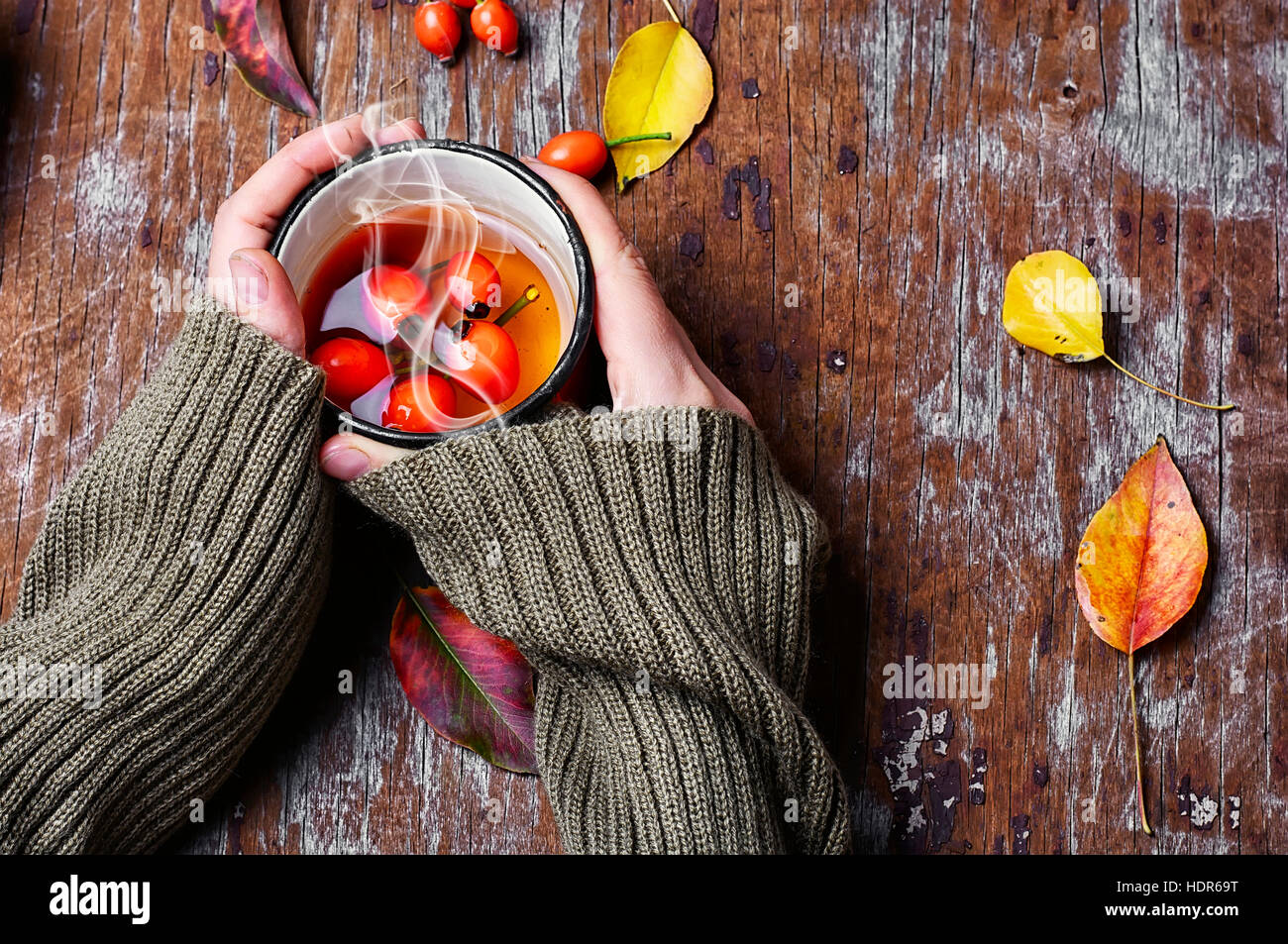 Tè medicinali dalle bacche di rosa in autunno nelle mani Foto Stock