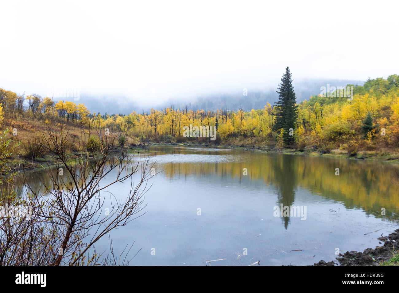 Scena colorati in Montana orientale con belle foglie di autunno riflettendo su uno stagno Foto Stock