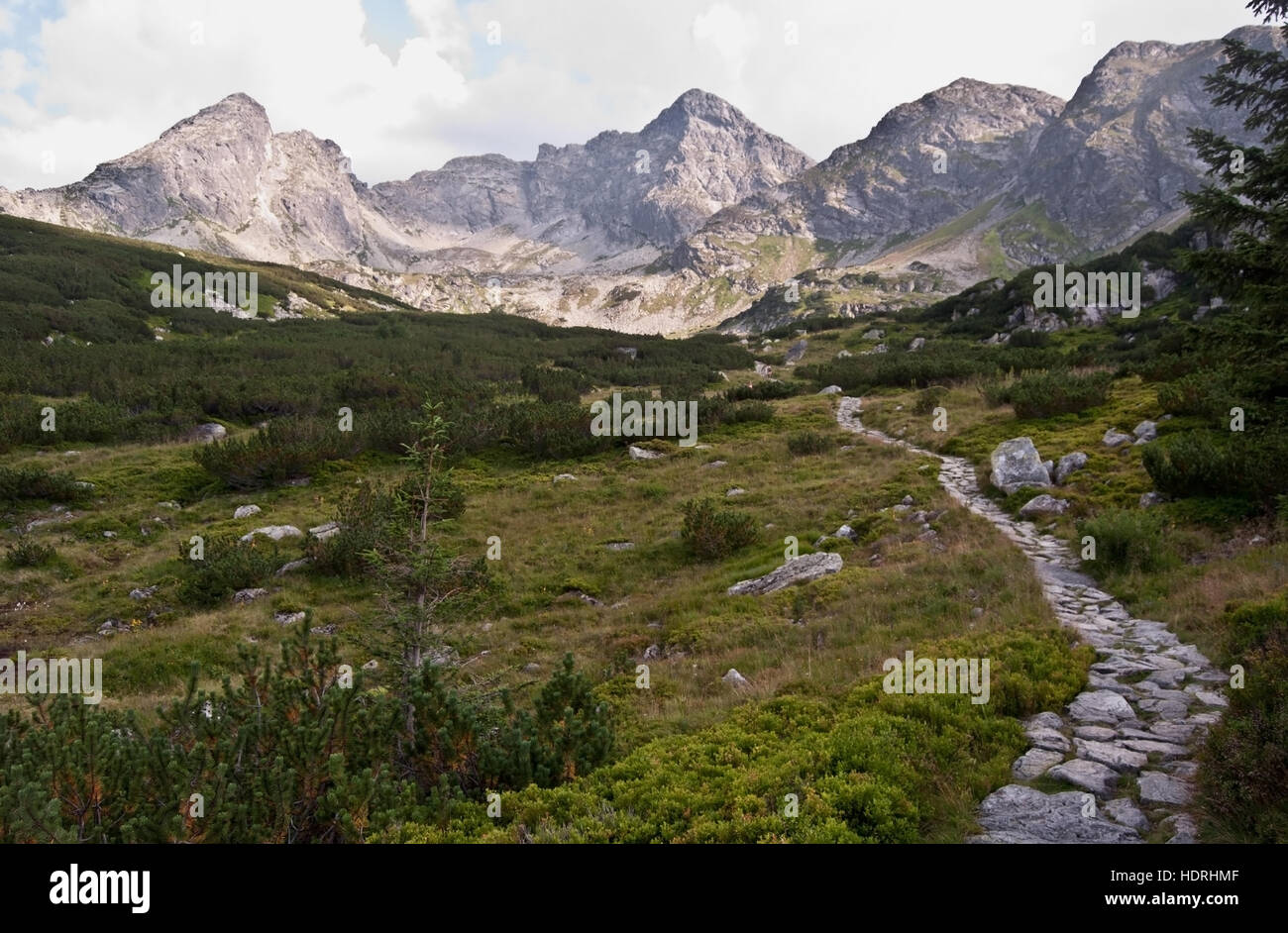 Dolina zielona gasienicowa mountain valley con pietra Hiking trail, erba e picchi in polacco parte degli Alti Tatra Foto Stock