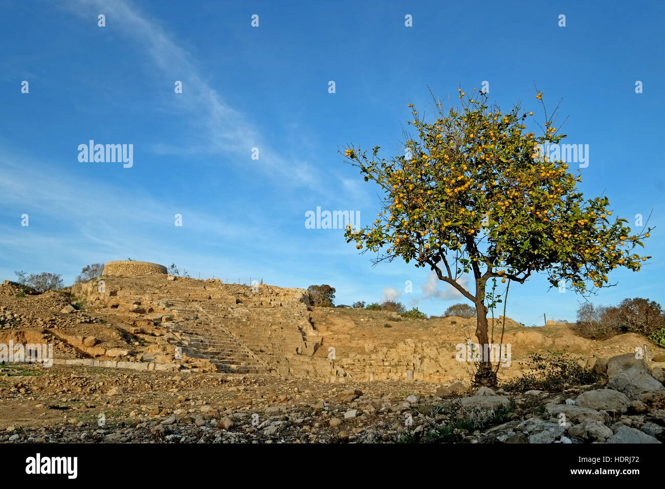 Antico anfiteatro ellenistico in Paphos, Cipro Foto Stock