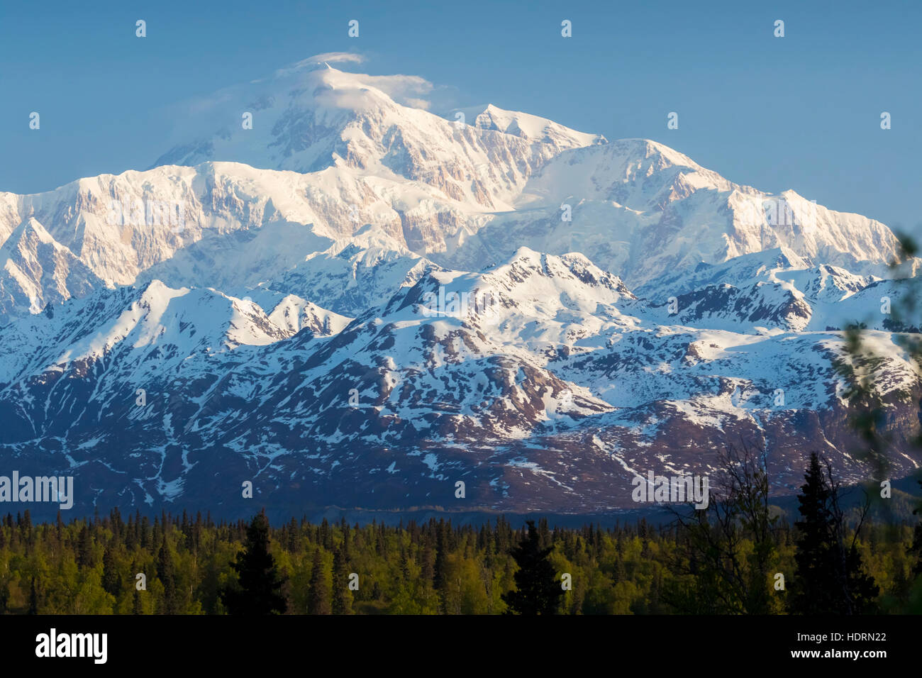 Denali, fotografati da miglio 135 dei parchi autostrada vicino il punto di vista di Denali Sud resto zona di arresto centrale, Ak e Ak, STATI UNITI D'AMERICA Foto Stock