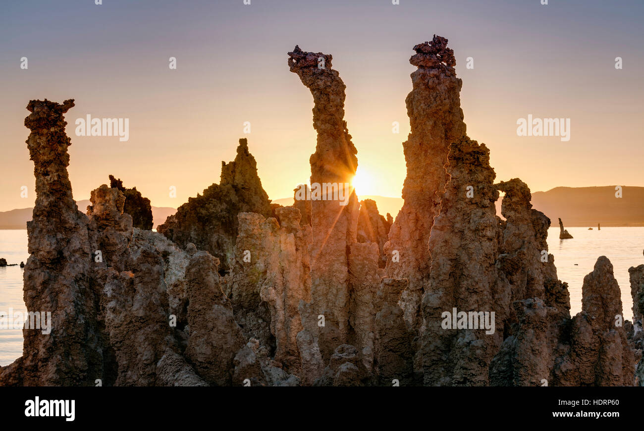 Formazioni di tufo a sunrise, Mono lago; Lee Vining, California, Stati Uniti d'America Foto Stock