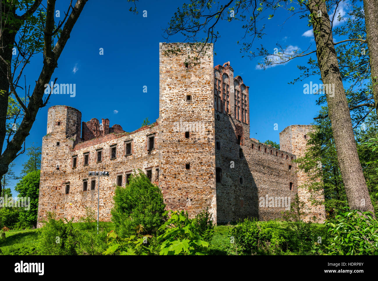 Rovine del Castello dei Vescovi, XVI secolo, in Drzewica, Mazovia, Polonia Foto Stock