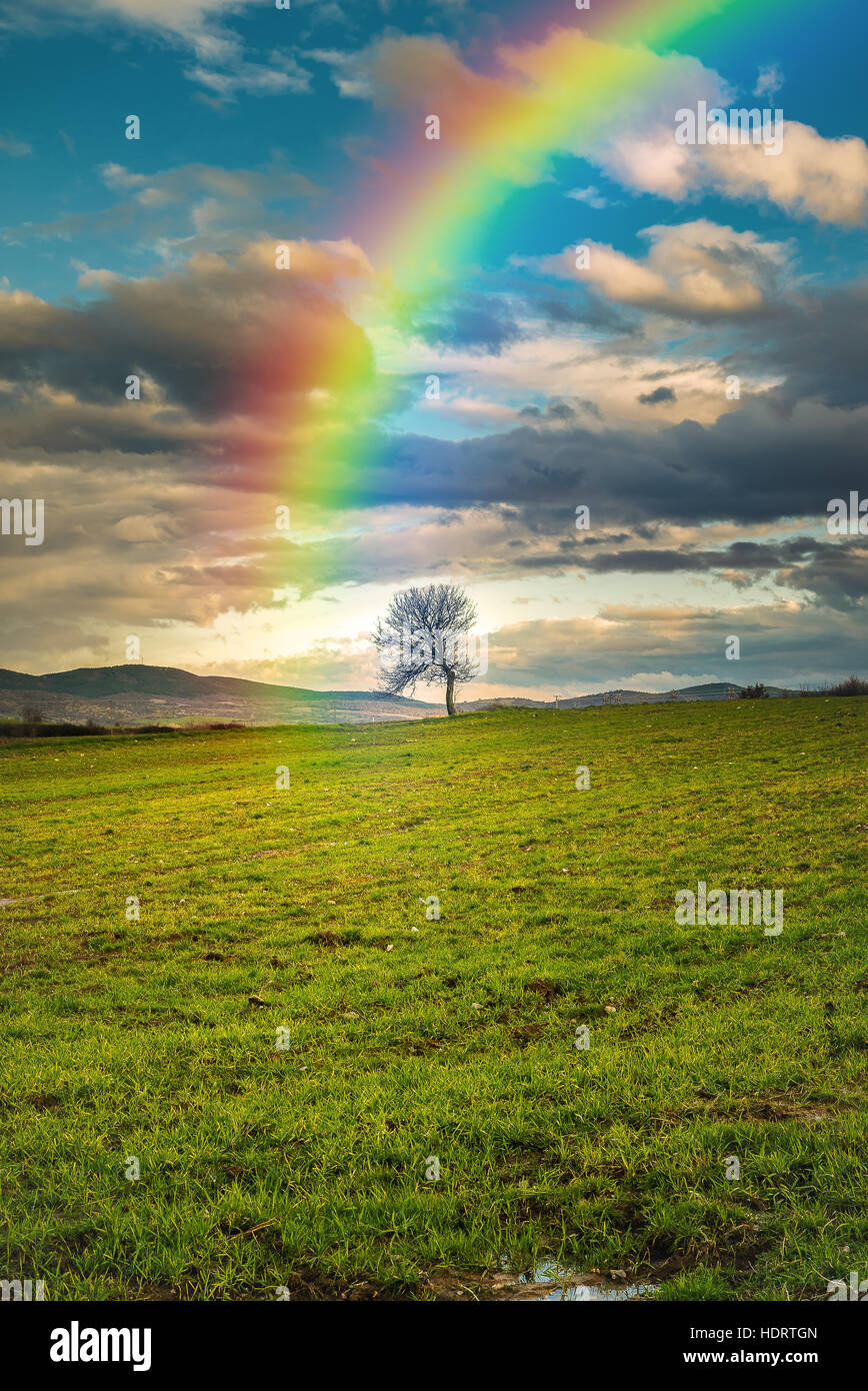 Arcobaleno nel cielo puntando un albero solitario dopo la tempesta è passata... Forse il tesoro nascosto vi... Foto Stock