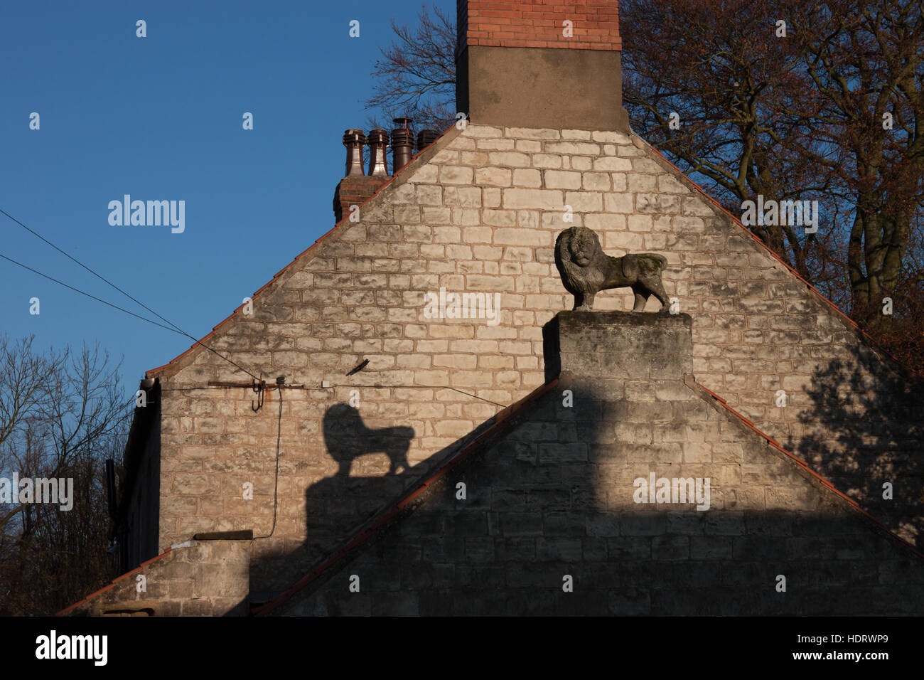 Leone di pietra statua con forte opposta shadow Black Lion pub Firbeck South Yorkshire blue sky giornata autunnale giallo sole Foto Stock
