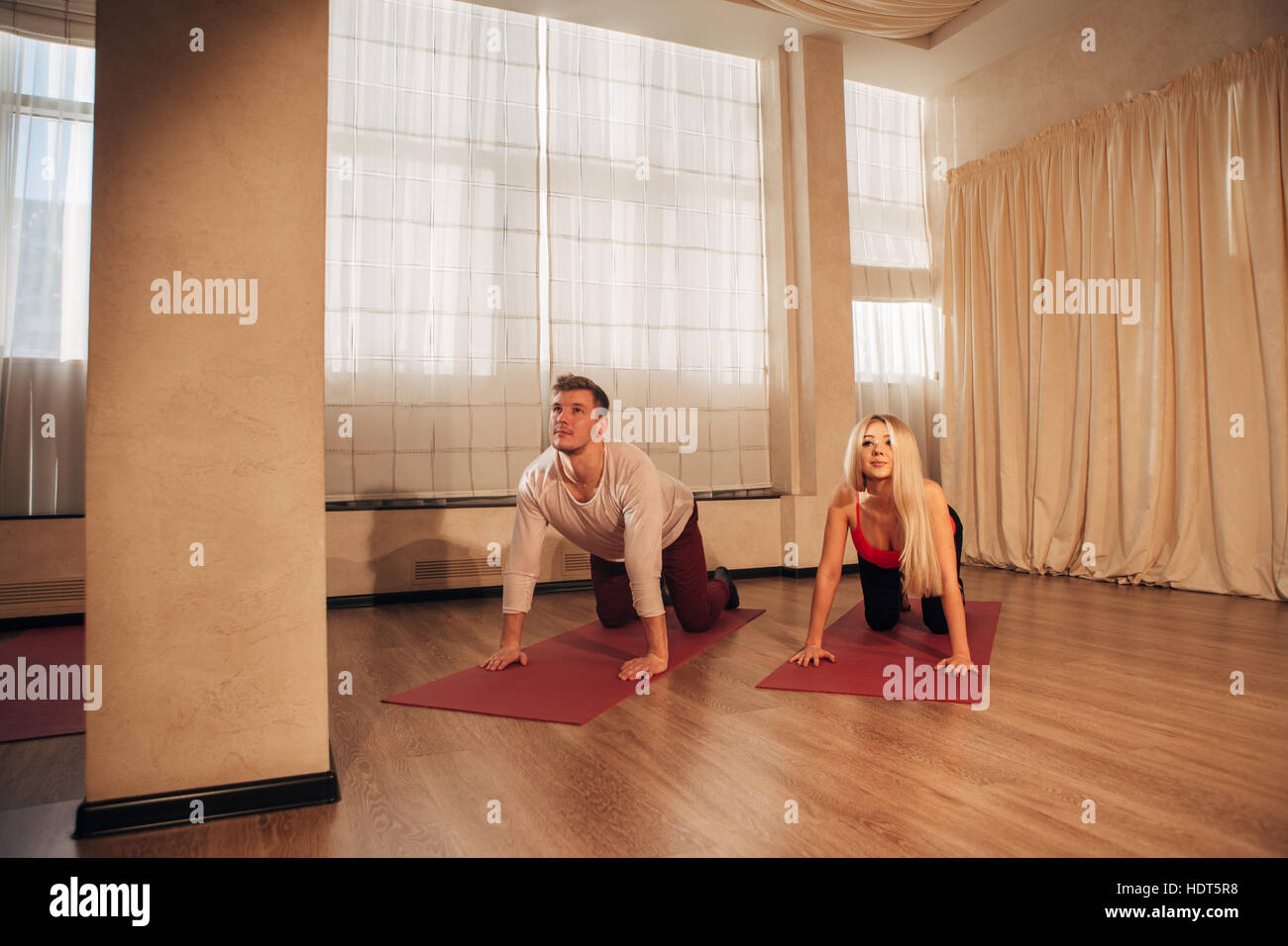 Giovane uomo e donna facendo esercizi yoga cat Foto Stock