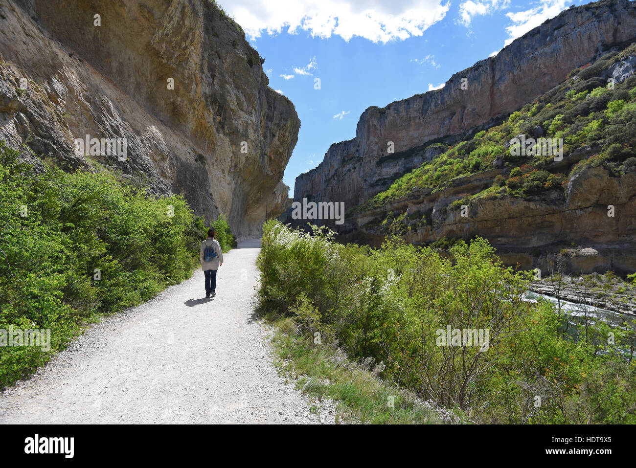Famoso canyon spagnolo Foz de Lumbier Foto Stock