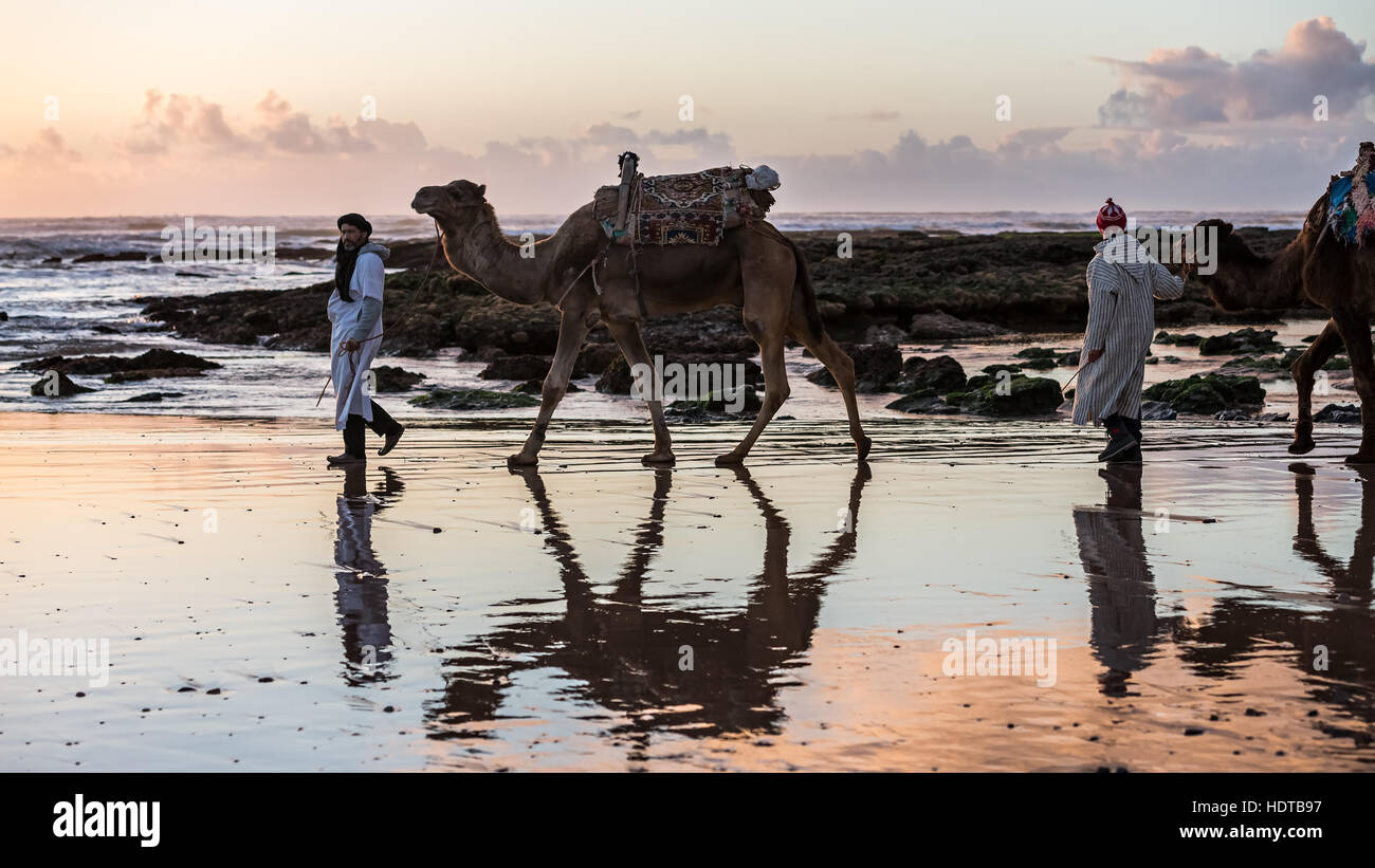 Due giovani uomini dal mare con dromedari in Marocco Foto Stock