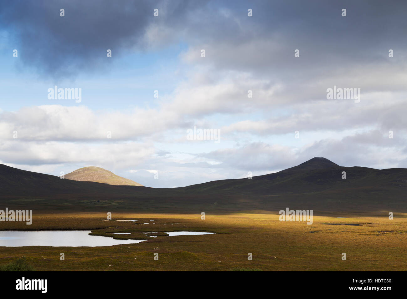 Il Flow Country blanket bog paesaggio, Sutherland Foto Stock