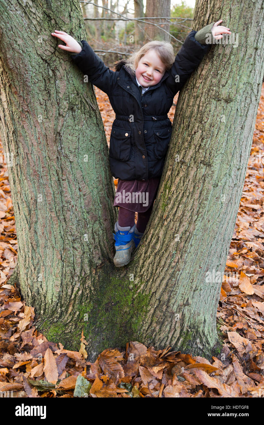 Ragazza 4 anni / 4 anni azienda abbracci su alberi / Alpinismo scalare salite / albero abbraccio / giochi / play in legno / autunno. Regno Unito Foto Stock