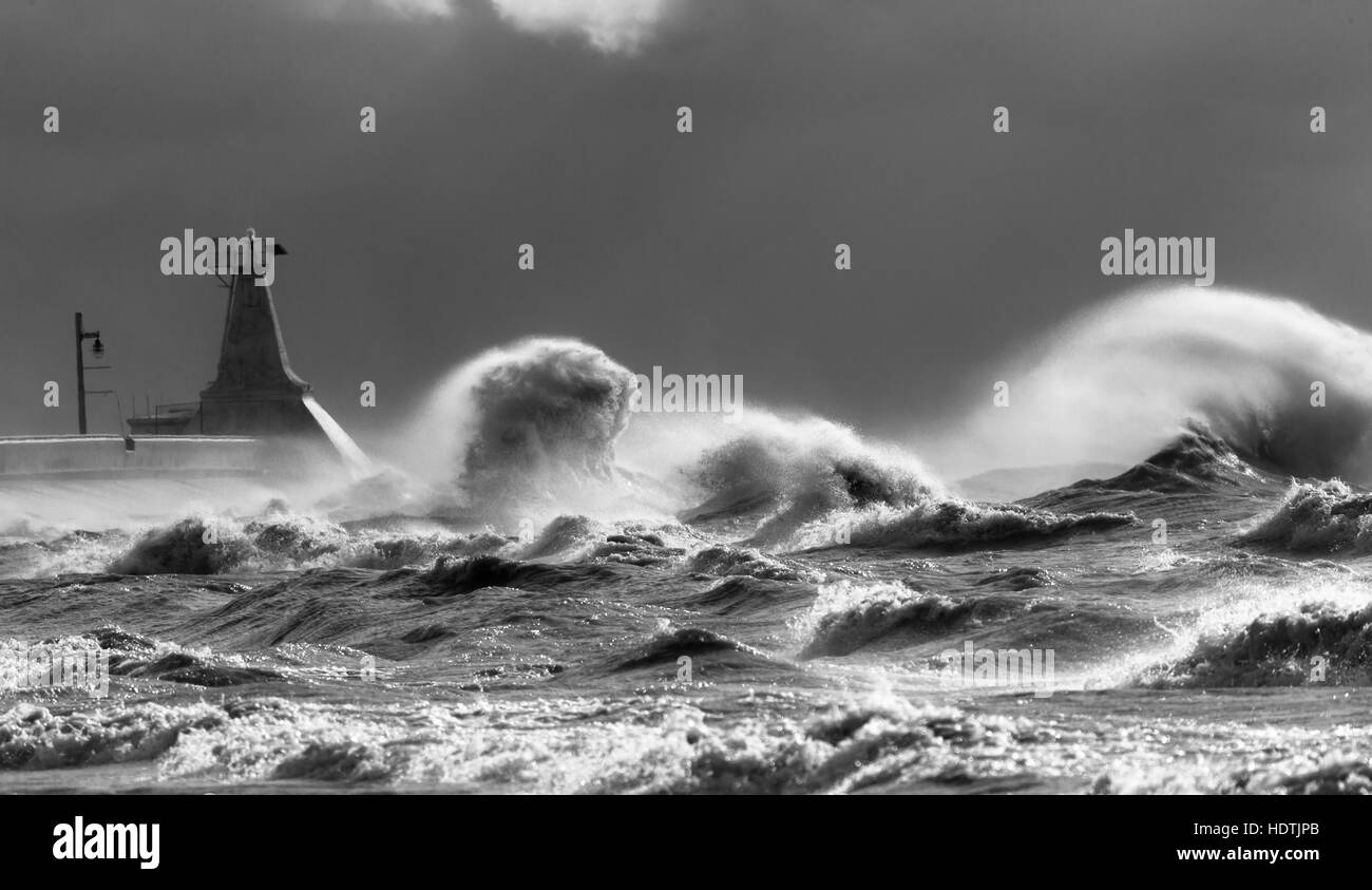 Venti forti frusta fino il Lago Erie dal tranquillo lago d'acqua dolce in un calderone di surf e onde che possono talvolta top 30' alta. Foto Stock