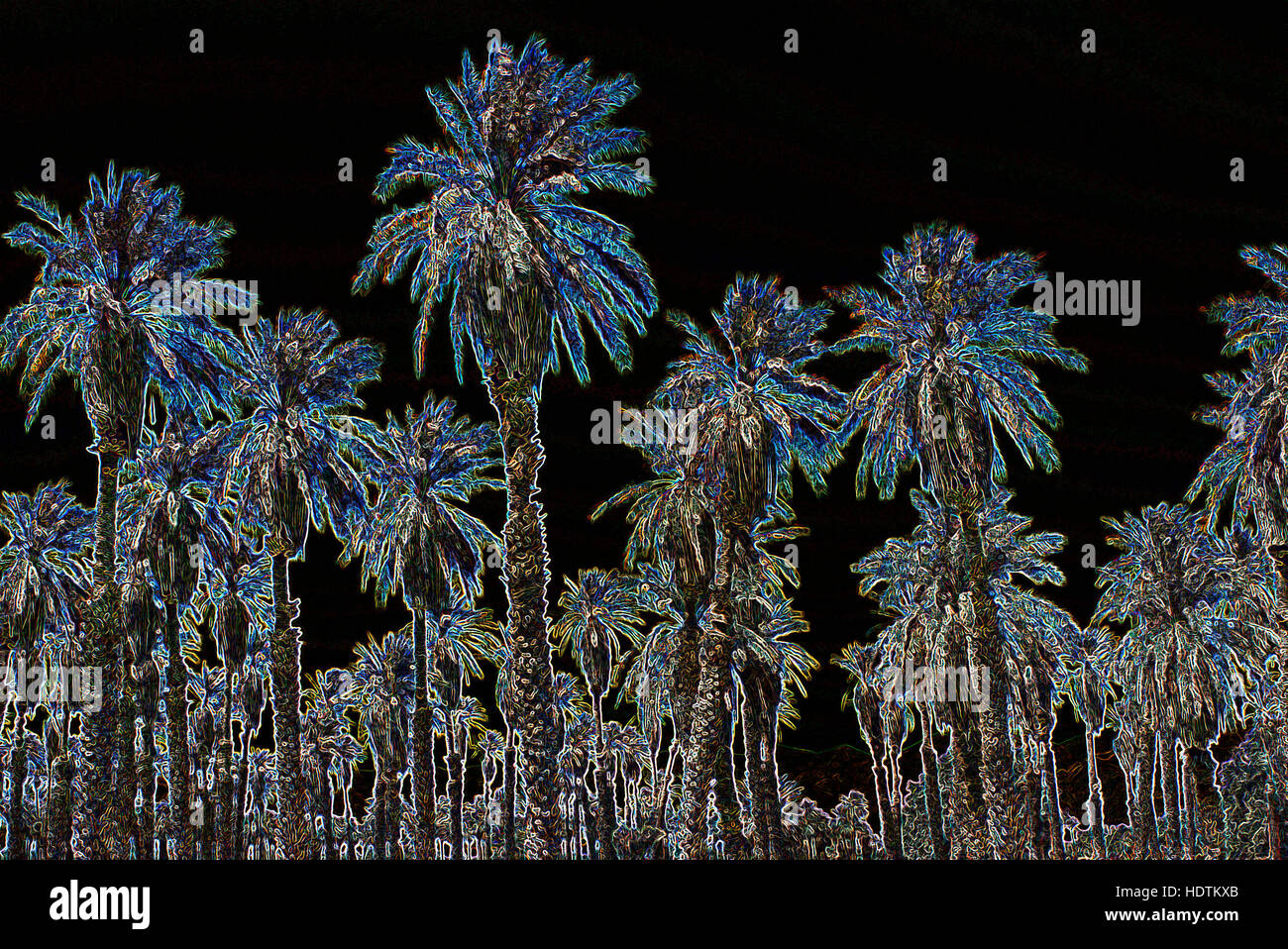 Alberi di palma (Arecaceae o Palmae) - manipolato digitalmente immagine con bordi incandescente, Foresta astratta su sfondo nero Foto Stock