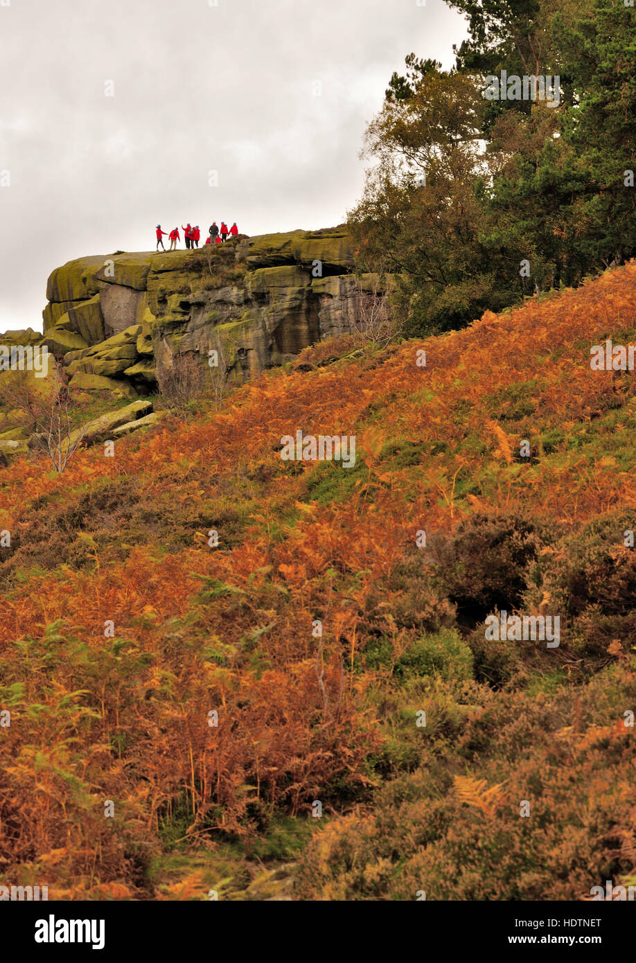 Mucca e vitello a Ilkley West Yorkshire in autunno. Foto Stock