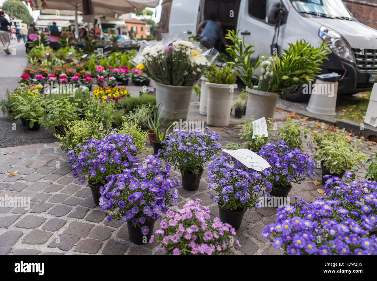 Giorno di mercato a Lucca e le strade da Porta Santa Maria e tutti lungo la Via Borgo Giannotti sono imballati con la produzione e la ferramenta si spegne. Foto Stock