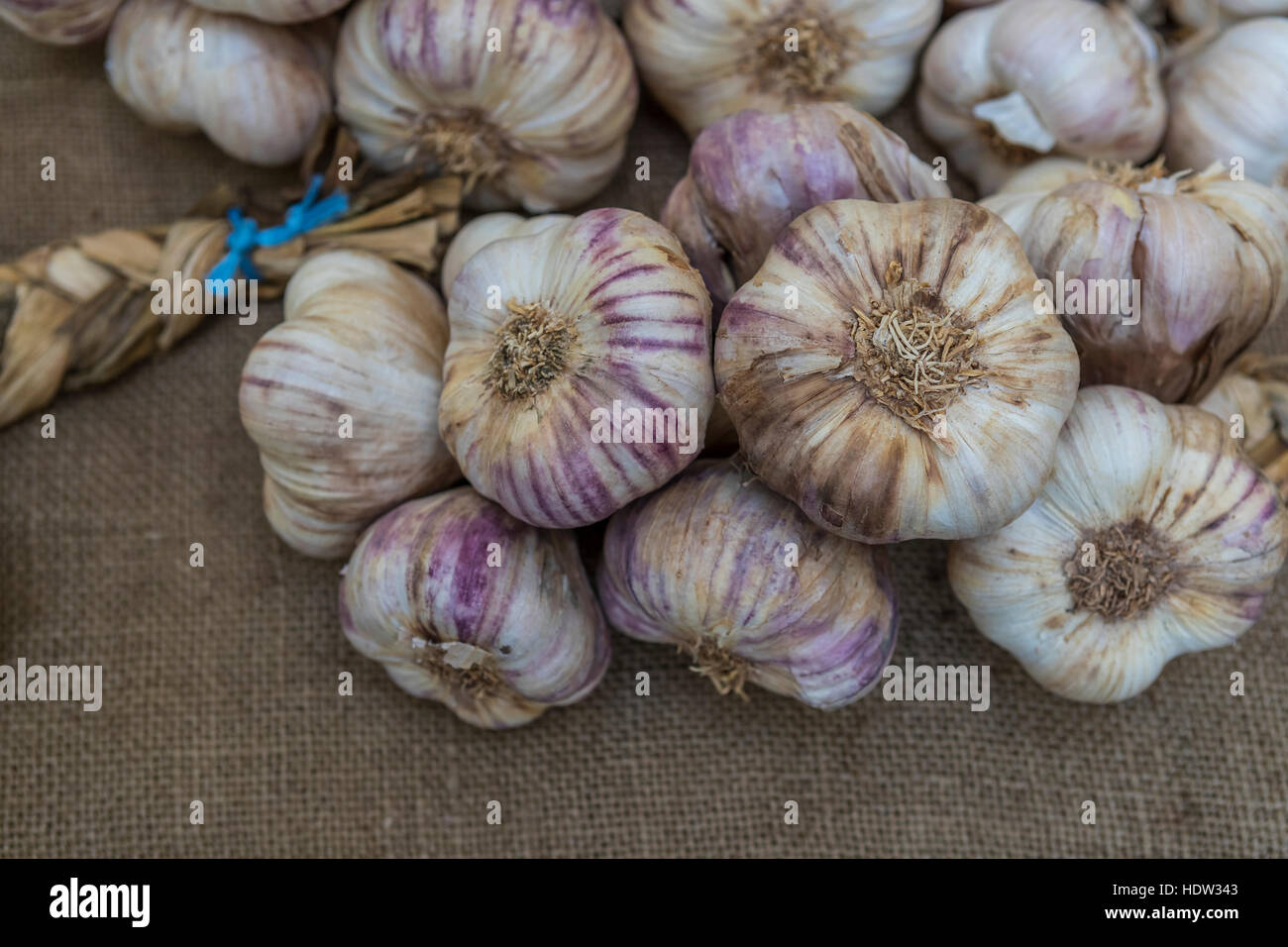 La città di Lucca street market si estende dalla Porta Santa Maria lungo la Via Borga Giannotti con tutto dal cibo per animali domestici. Foto Stock