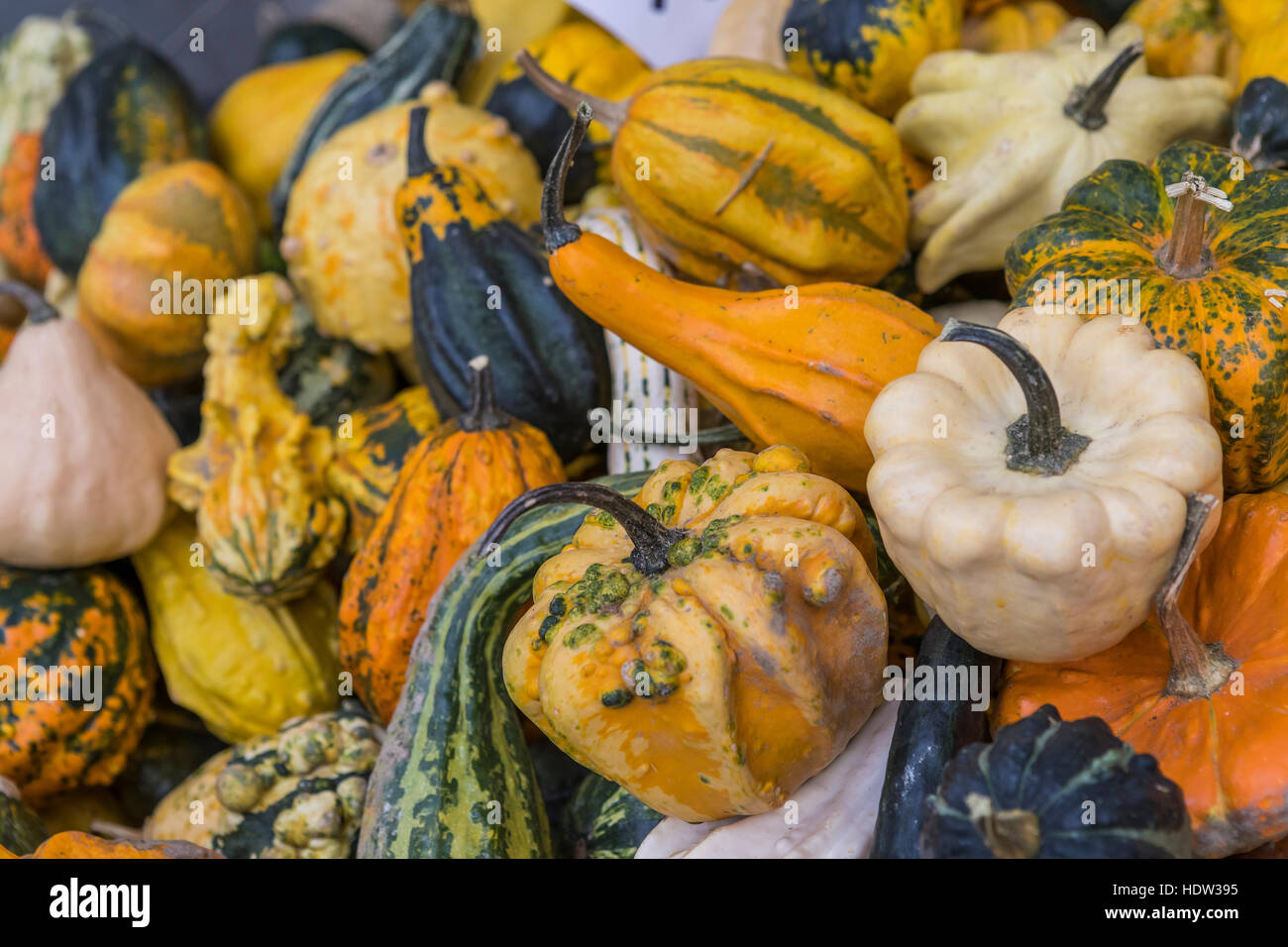 Giorno di mercato a Lucca e le strade da Porta Santa Maria e tutti lungo la Via Borgo Giannotti sono imballati con la produzione e la ferramenta si spegne. Foto Stock