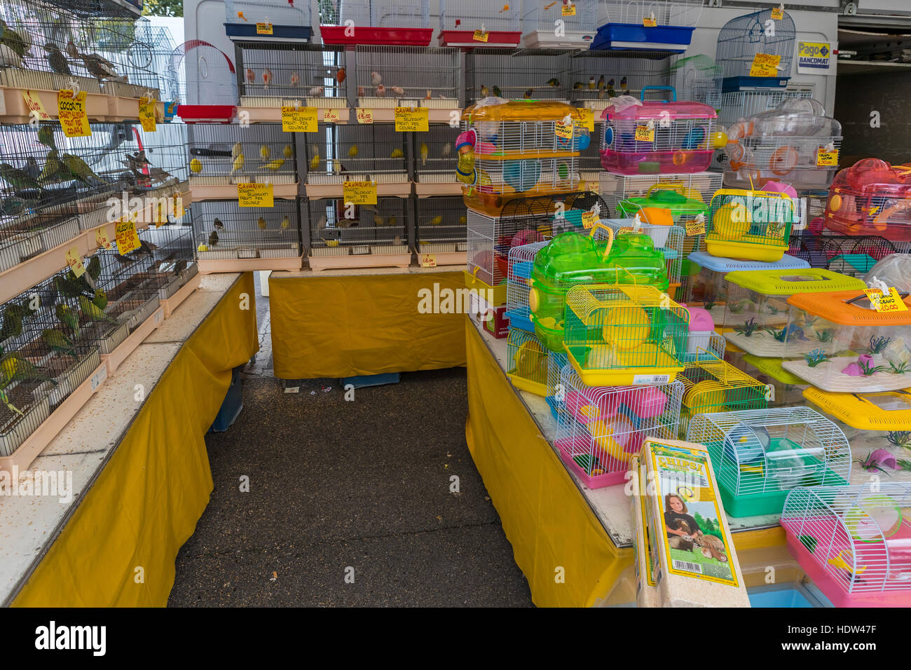 La città di Lucca street market si estende dalla Porta Santa Maria lungo la Via Borga Giannotti con tutto dal cibo per animali domestici. Foto Stock