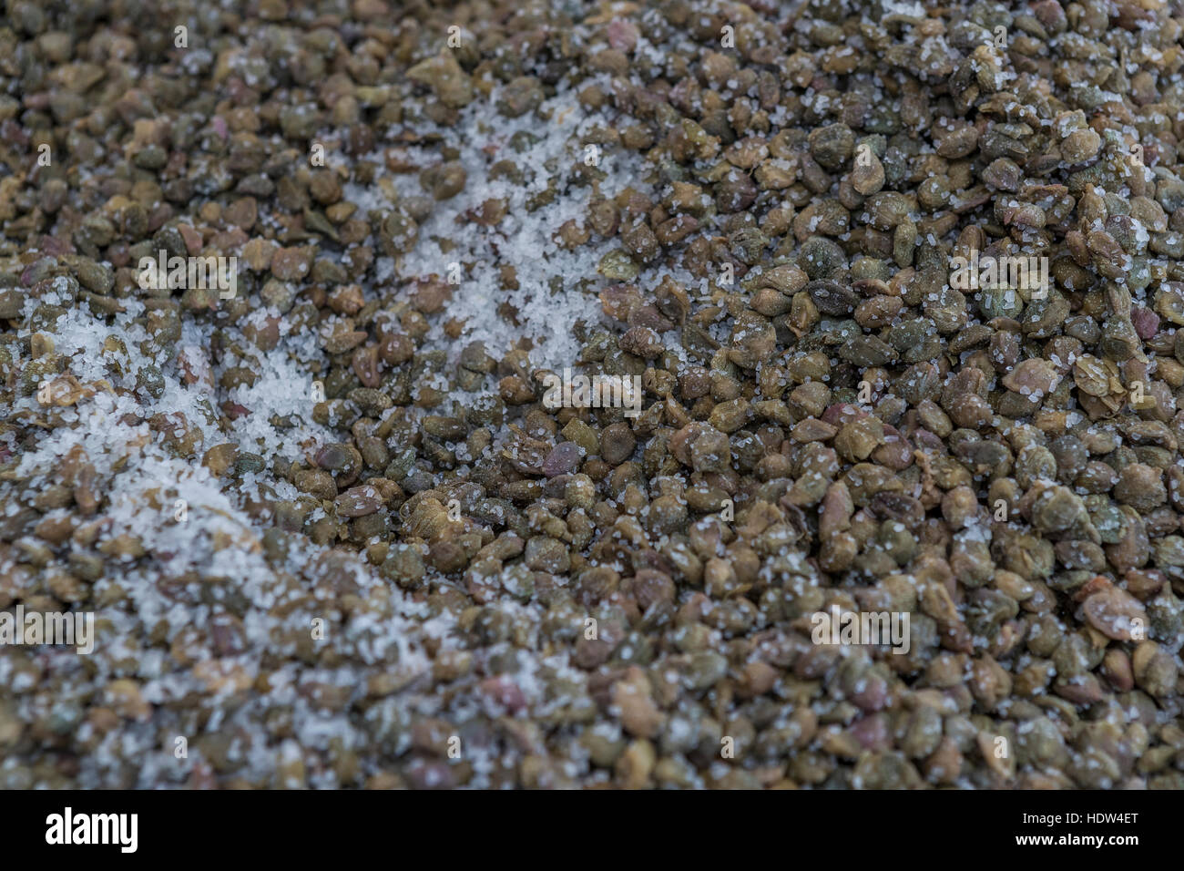 La città di Lucca street market si estende dalla Porta Santa Maria lungo la Via Borga Giannotti con tutto dal cibo per animali domestici. Foto Stock