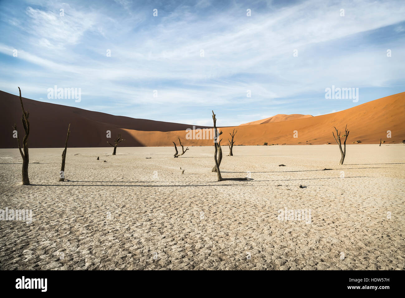 Dead Vlei dureng alba con dune rosse a sfondo al Sossusvlei Namibia Foto Stock