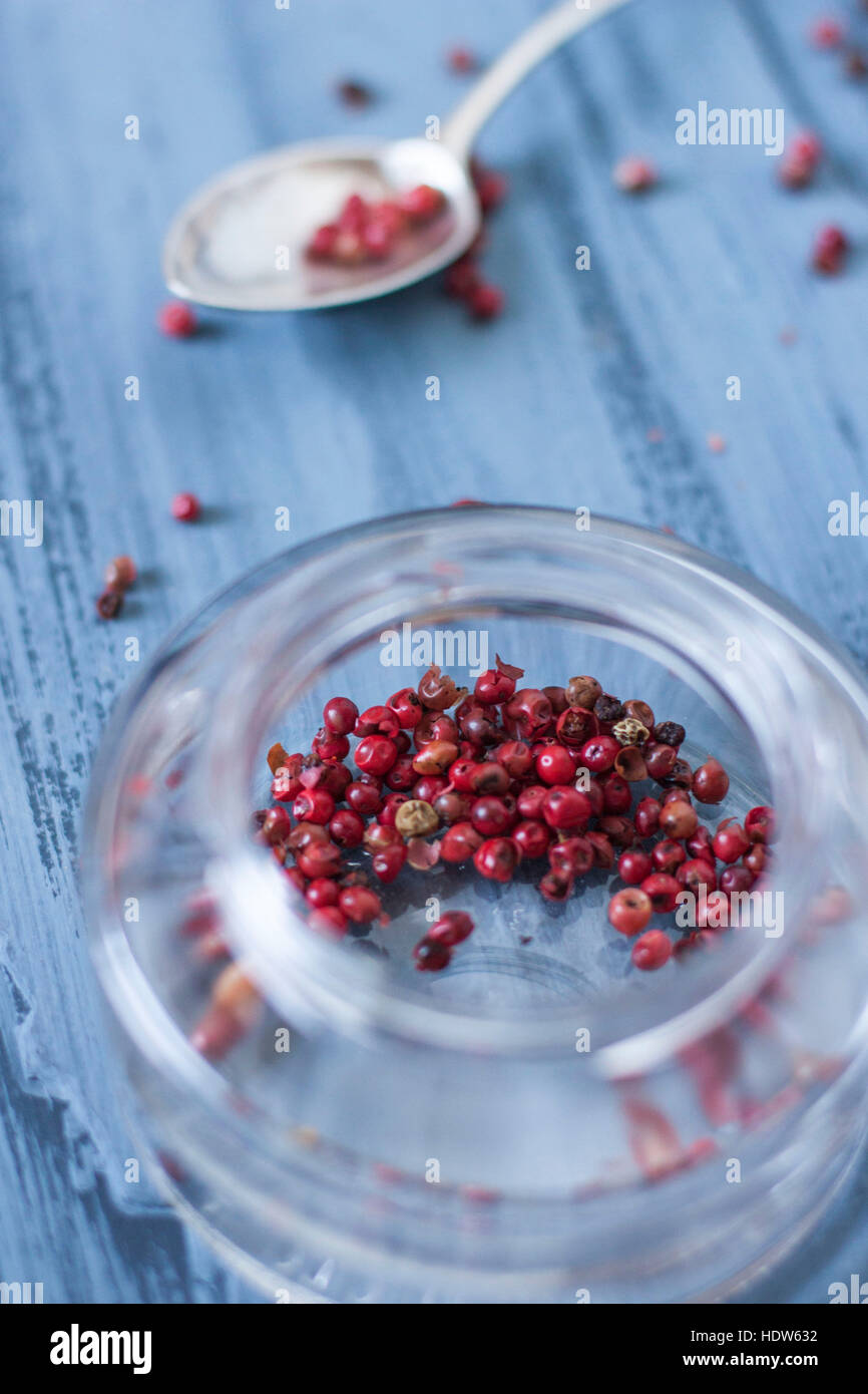 Pepe rosa nel vaso di vetro su sfondo blu Foto Stock