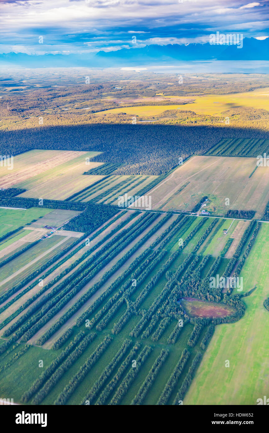 Vista aerea di terreni agricoli nella valle Matanuska-Susitna vicino al punto MacKenzie, Wasilla centromeridionale, Alaska, STATI UNITI D'AMERICA Foto Stock