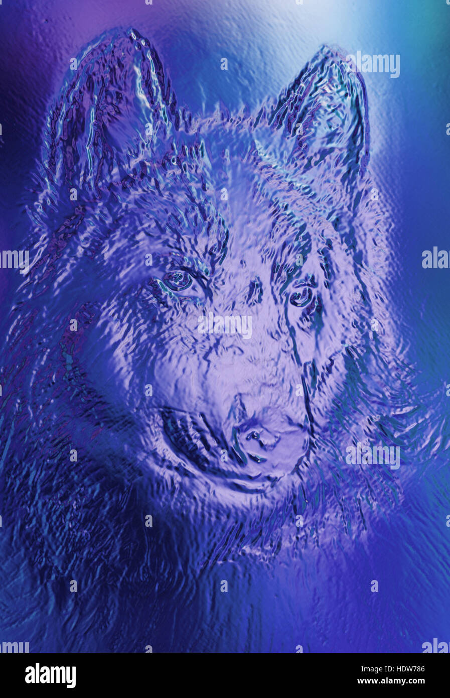 Spazio magico Wolf, multicolore alla computer grafica collage. Metallo e vetro effetto. Foto Stock