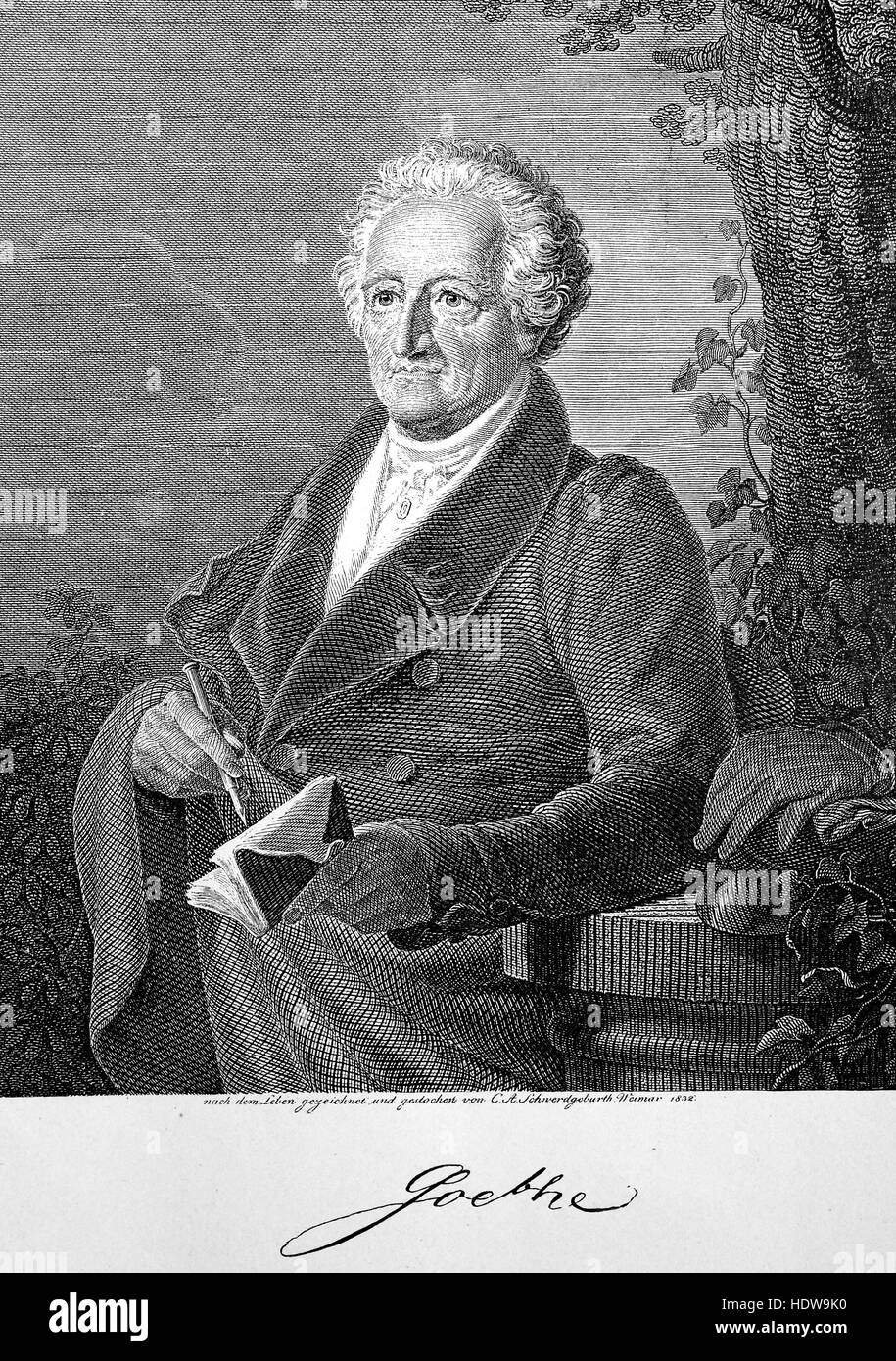 Johann Wolfgang von Goethe 83 anni, Francoforte sul Meno 1749 - Weimar 1832, uno scrittore tedesco e statista, xilografia a partire dall'anno 1880 Foto Stock