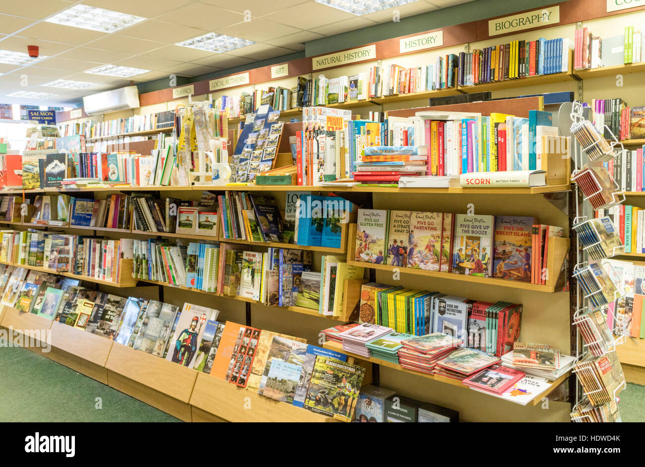 Independent book shop, Gran Bretagna, Regno Unito Foto Stock