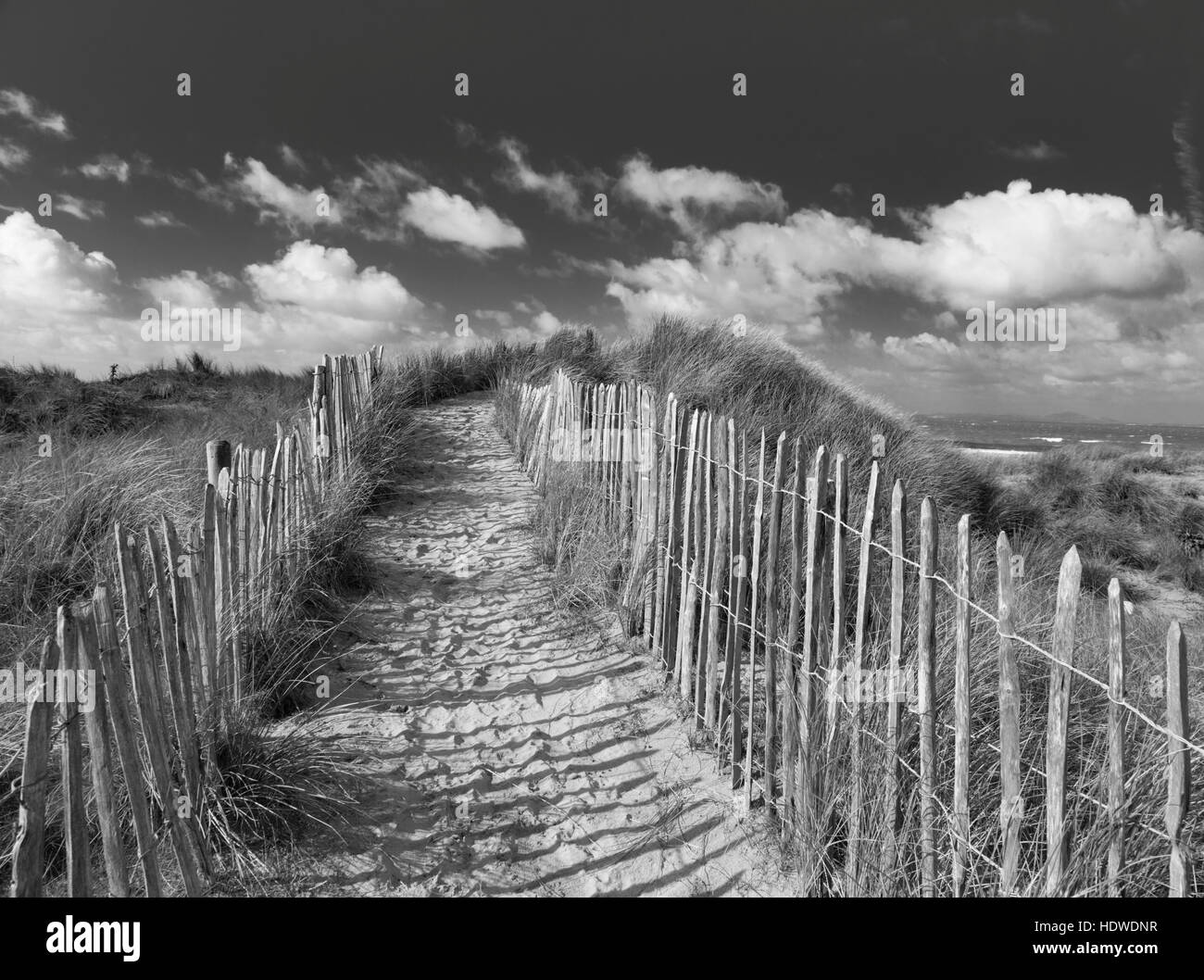 Le dune di sabbia in monocromatico, Gran Bretagna, Regno Unito Foto Stock