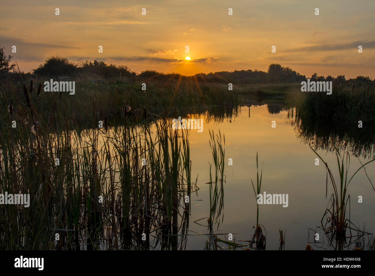 Vista sulla piscina con acqua dolce e marsh al tramonto. RSPB Titchwell Marsh riserva. Norfolk, Inghilterra. Ottobre. Foto Stock