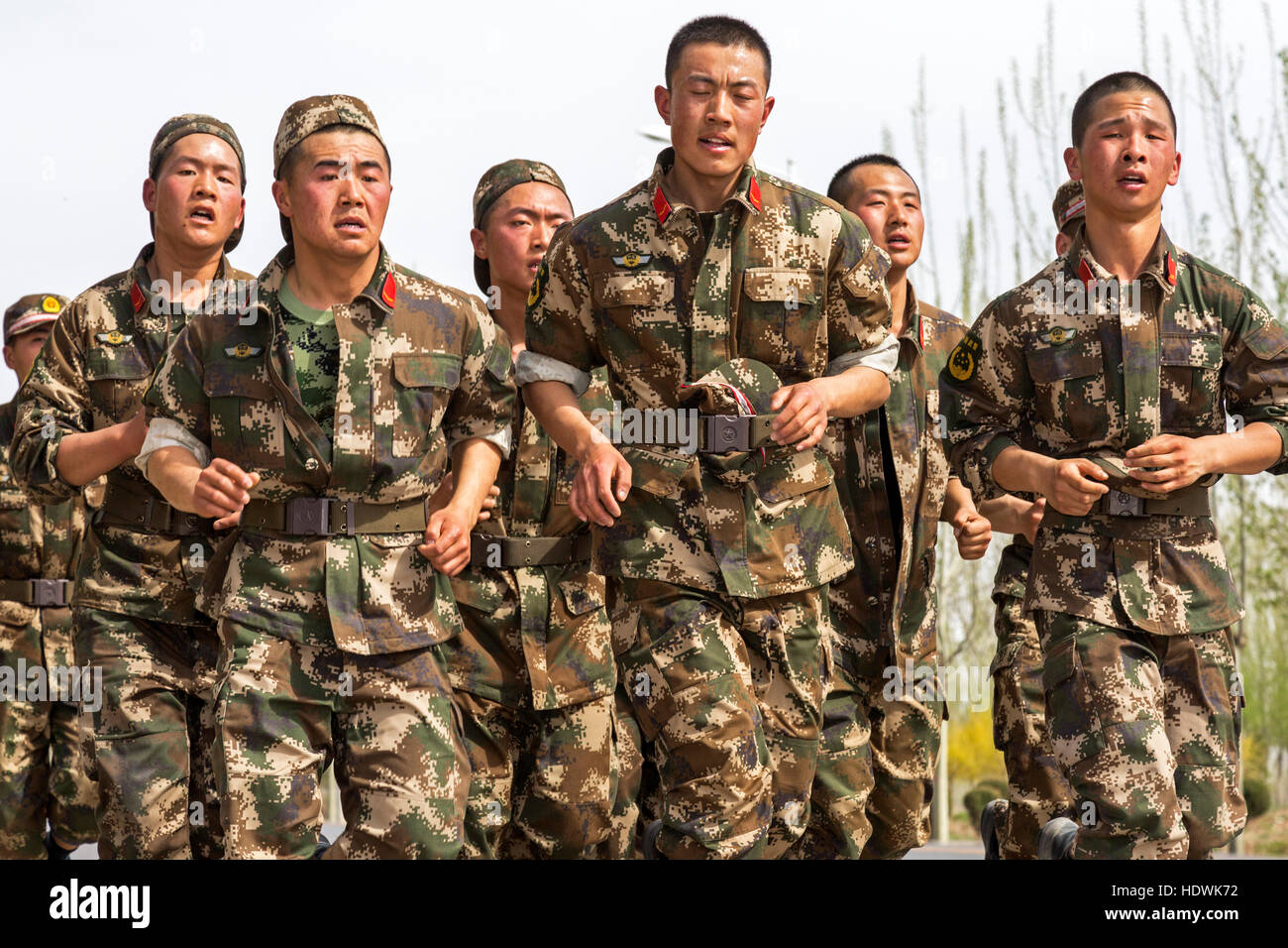 Soldati cinesi di formazione e di esercizio, Wuzhong, Ningxia, Cina Foto Stock