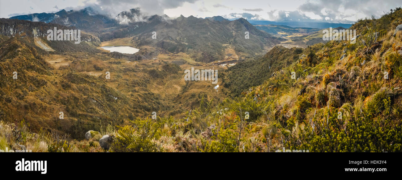 Foto di ricca vegetazione di boschi e montagne nel Trikora, Papua, Indonesia. Questo è molto remota, raramente visitato da persone. Foto Stock