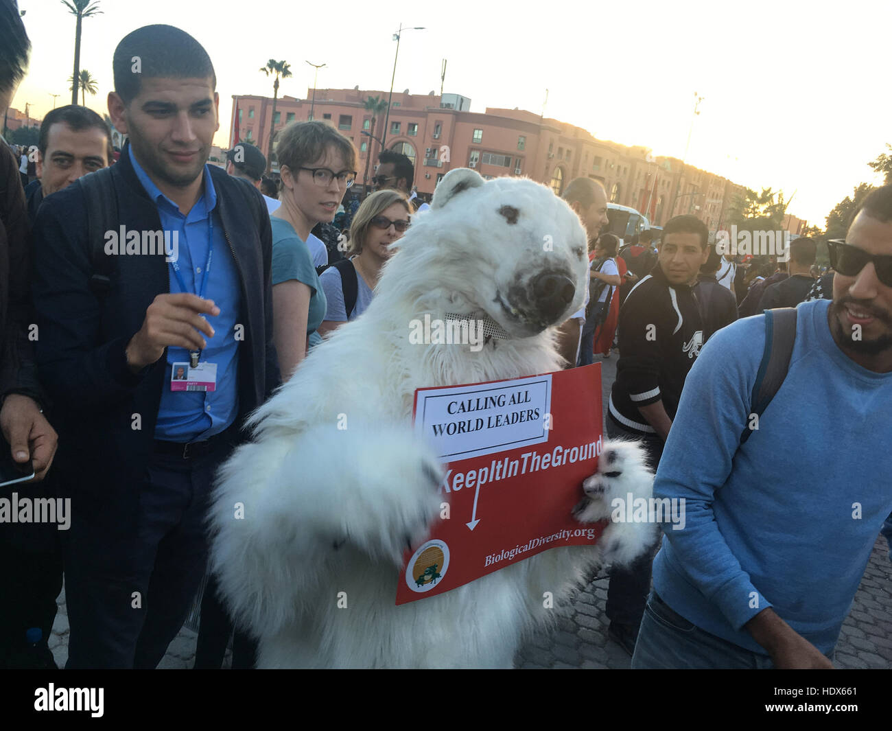 Il clima di marzo dalle ONG, durante la convenzione UNFCCC COP22 il cambiamento climatico negoziati riunioni, a Marrakech, in Marocco, il 13 novembre 2016. Foto Stock